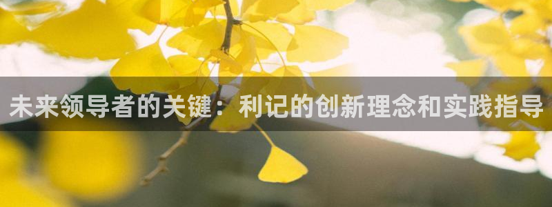 极悦娱乐app下载：未来领导者的关键：利记的创新理念和实践指导