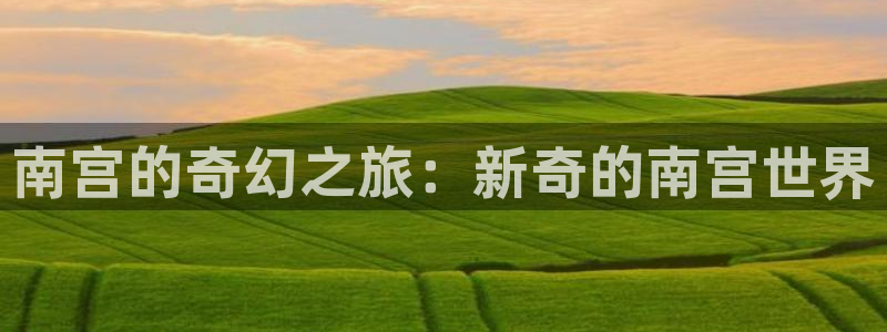 极悦注册：南宫的奇幻之旅：新奇的南宫世界