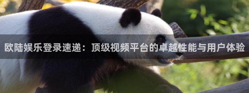 极悦娱乐下载二维码：欧陆娱乐登录速递：顶级视频平台的卓越性能与用户体验