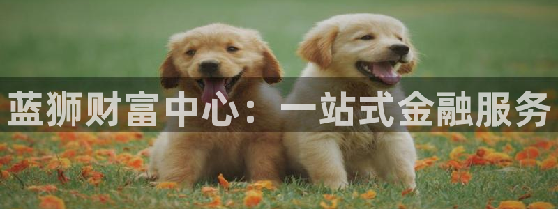 极悦娱乐网站平台登录：蓝狮财富中心：一站式金融服务