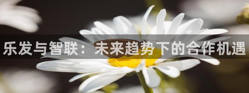 极悦娱乐游戏试玩：乐发与智联：未来趋势下的合作机遇