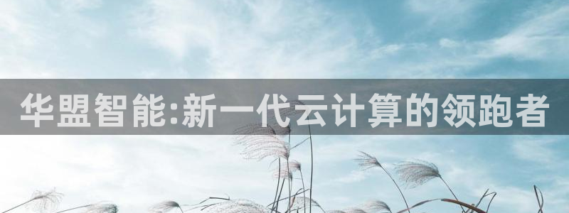 极悦娱乐加拿大官网：华盟智能:新一代云计算的领跑者