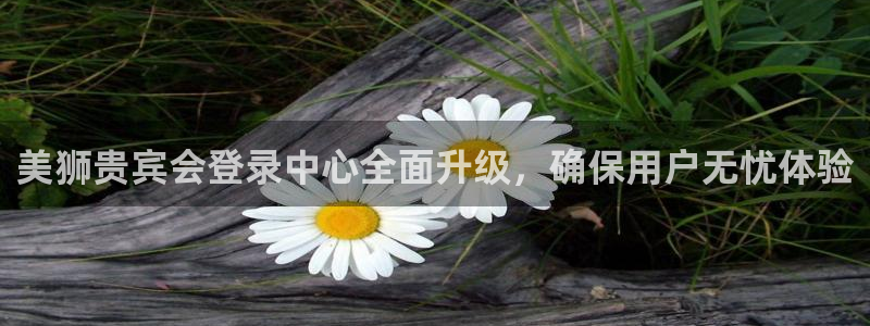 舒克极悦：美狮贵宾会登录中心全面升级，确保用户无忧体验