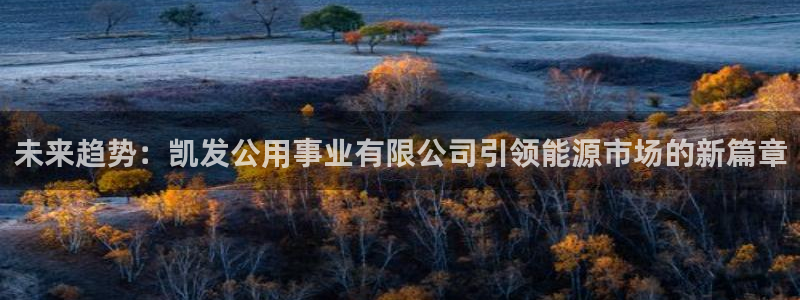 极悦娱乐手机版下载：未来趋势：凯发公用事业有限公司引领能源市场的新篇章