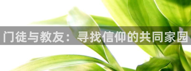 极悦娱乐ccm麻将胡了：门徒与教友：寻找信仰的共同家园