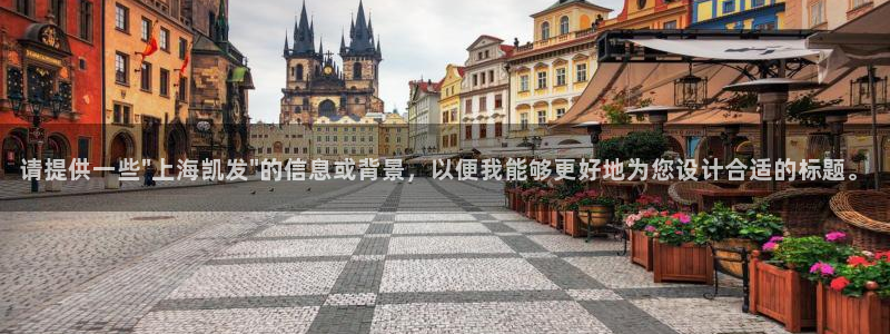 极悦官网：请提供一些\
