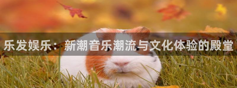 下载极悦娱乐：乐发娱乐：新潮音乐潮流与文化体验的殿堂