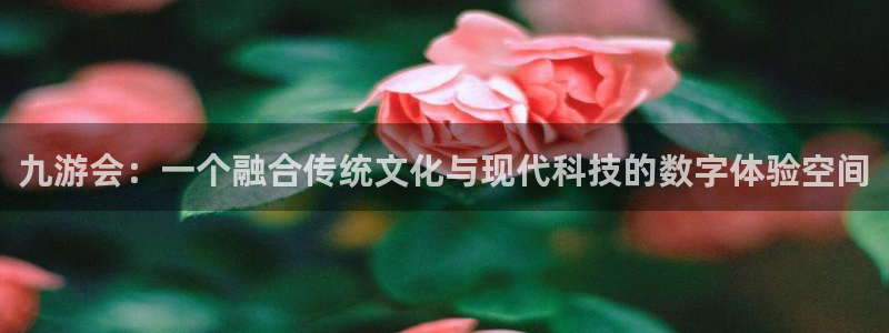 极悦娱乐官网版下载：九游会：一个融合传统文化与现代科技的数字体验空间