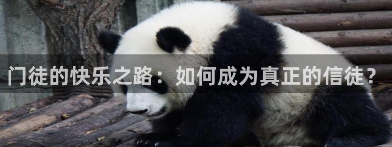 极悦娱乐是赌博吗：门徒的快乐之路：如何成为真正的信徒？