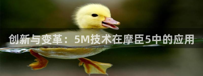 壹号平台app下载安装：创新与变革：5M技术在摩臣5中的应用