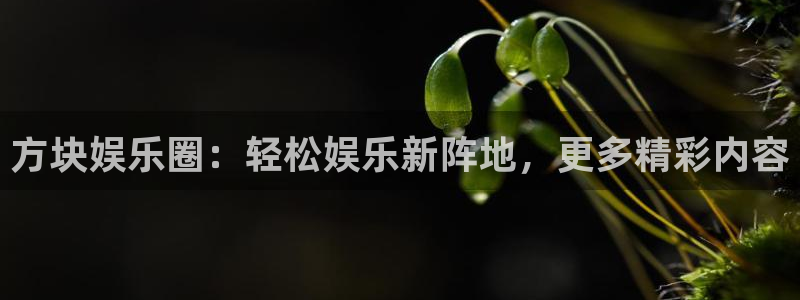 壹号app下载苹果：方块娱乐圈：轻松娱乐新阵地，更多精彩内容