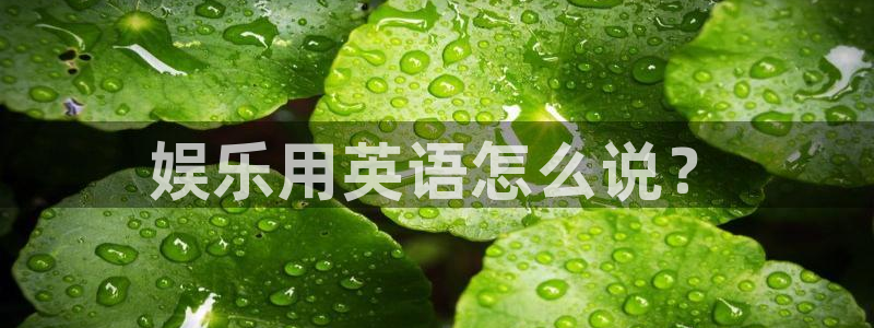 南宫极悦娱乐官网下载链接：娱乐用英语怎么说？