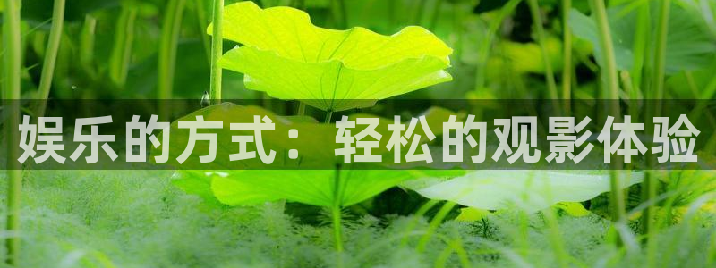 壹号官网app下载安装：娱乐的方式：轻松的观影体验