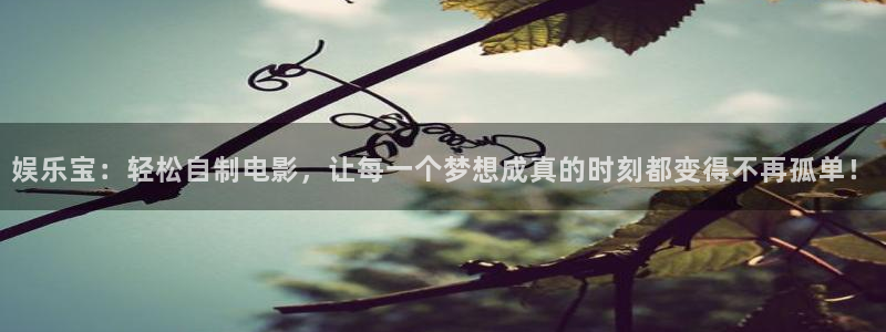 极悦娱乐ccm赏金女王：娱乐宝：轻松自制电影，让每一个梦想成真的时刻都变得不再孤单！
