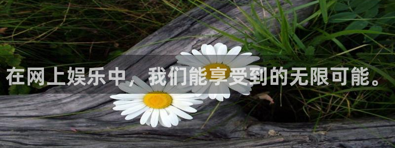 极悦娱乐ccmpc麻将胡了：在网上娱乐中，我们能享受到的无限可能。