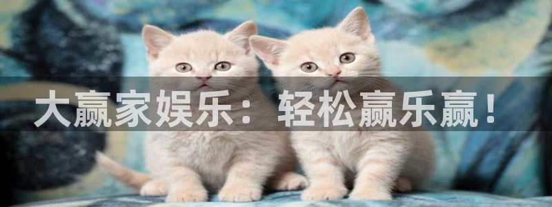 极悦娱乐app下载官网：大赢家娱乐：轻松赢乐赢！