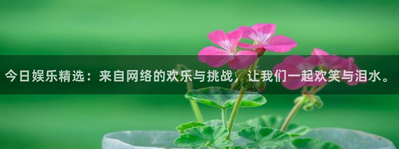 极悦娱乐加拿大：今日娱乐精选：来自网络的欢乐与挑战，让我们一起欢笑与泪水。