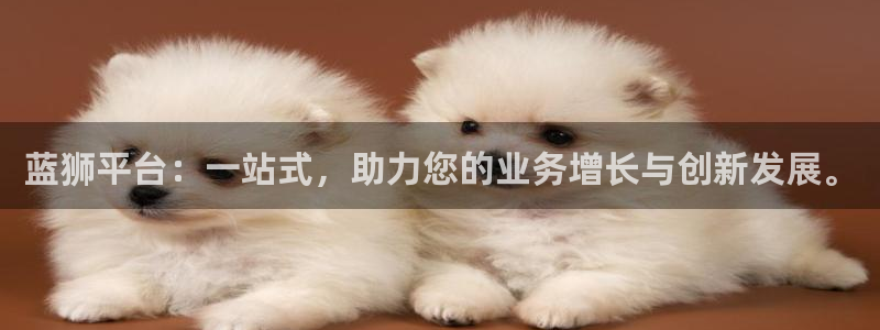 极悦娱乐分红代理计划：蓝狮平台：一站式，助力您的业务增长与创新发展。