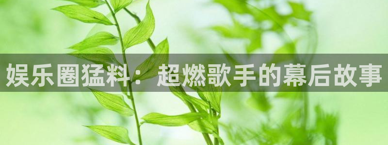 极悦直播tv版下载：娱乐圈猛料：超燃歌手的幕后故事