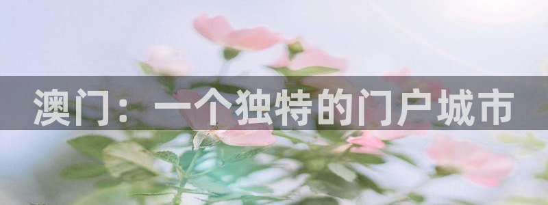 极悦娱乐注册入口与教程：澳门：一个独特的门户城市