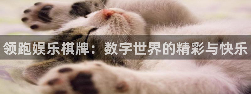 壹号app下载苹果：领跑娱乐棋牌：数字世界的精彩与快乐