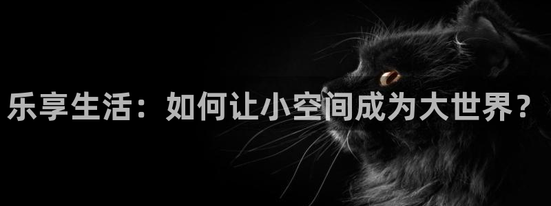 极悦直播：乐享生活：如何让小空间成为大世界？