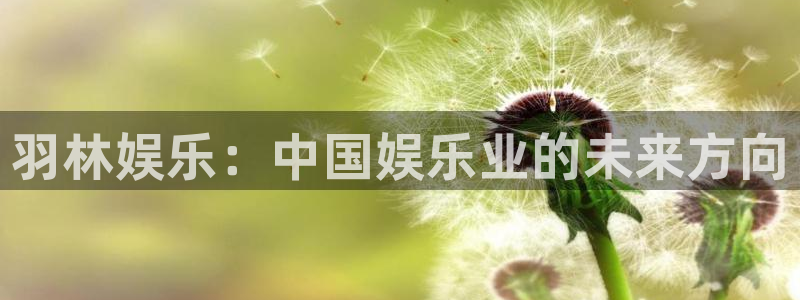 pg极悦娱乐平台下载入口：羽林娱乐：中国娱乐业的未来方向
