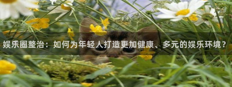 极悦娱乐注册入口：娱乐圈整治：如何为年轻人打造更加健康、多元的娱乐环境？