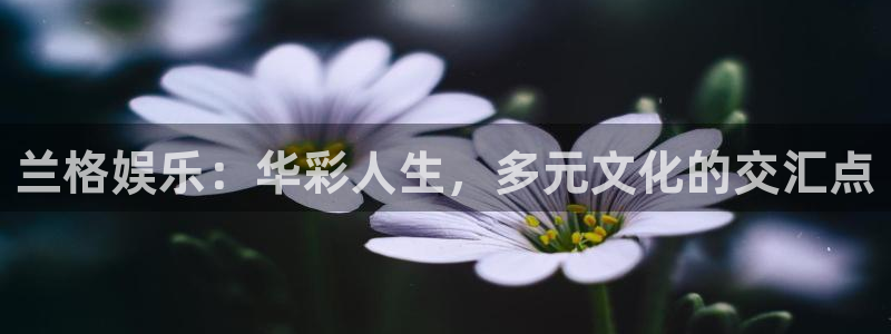 极悦app官网下载：兰格娱乐：华彩人生，多元文化的交汇点