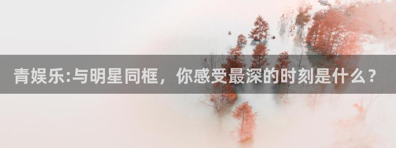 极悦娱乐游戏官网入口：青娱乐:与明星同框，你感受最深的时刻是什么？