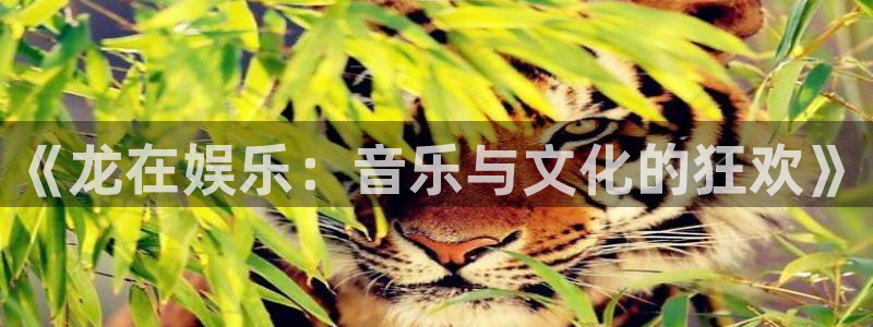 极悦娱乐ccmpc：《龙在娱乐：音乐与文化的狂欢》