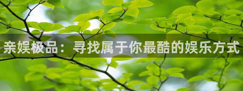 极悦娱乐在线预测：亲娱极品：寻找属于你最酷的娱乐方式