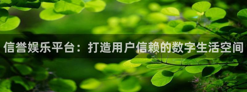 壹号top娱乐：信誉娱乐平台：打造用户信赖的数字生活空间