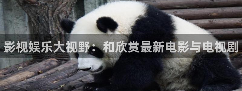 壹号电子娱乐app下载最新版本安装