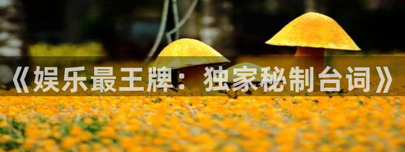 极悦娱乐官方app下载安装：《娱乐最王牌：独家秘制台词》