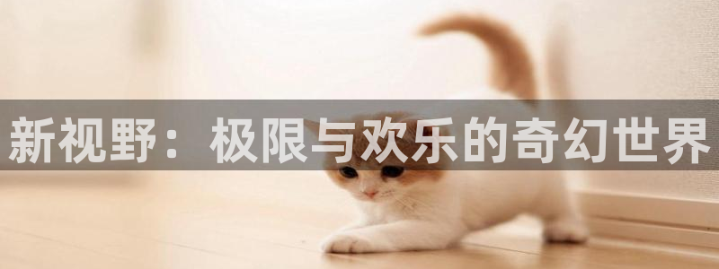 下载极悦娱乐：新视野：极限与欢乐的奇幻世界