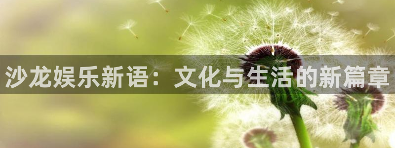极悦娱乐登录网：沙龙娱乐新语：文化与生活的新篇章