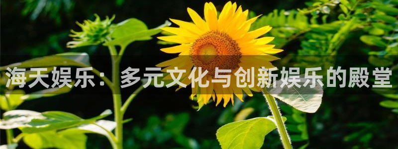 极悦娱乐app新版上线体验.游戏更新入口.中国：海天娱乐：多元文化与创新娱乐的殿堂