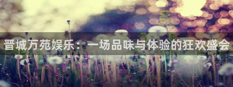 极悦娱乐登录：晋城万苑娱乐：一场品味与体验的狂欢盛会
