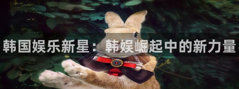 极悦娱乐游戏官网版：韩国娱乐新星：韩娱崛起中的新力量