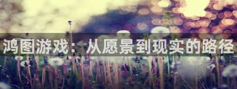 壹号电子娱乐app下载安装：鸿图游戏：从愿景到现实的路径
