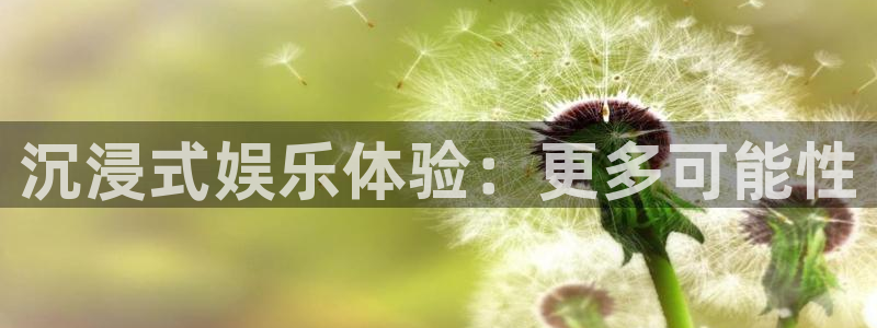 极悦娱乐官网：沉浸式娱乐体验：更多可能性