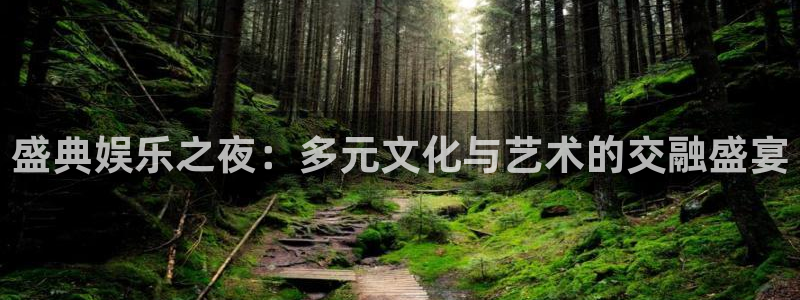 壹号大舞台下载：盛典娱乐之夜：多元文化与艺术的交融盛宴
