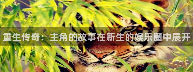 舒客极悦：重生传奇：主角的故事在新生的娱乐圈中展开