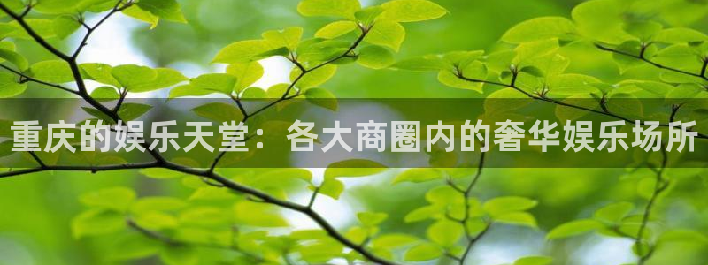 极悦娱乐平台官方入口：重庆的娱乐天堂：各大商圈内的奢华娱乐场所